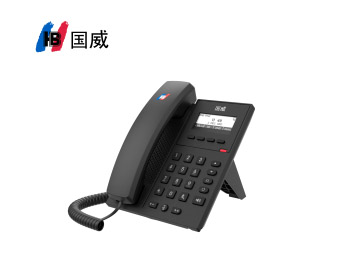 国威GW11/GW11P/VOIP 网络电话机